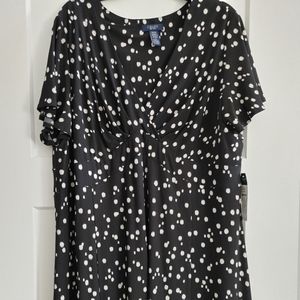 NWT Chaps Dress  22W